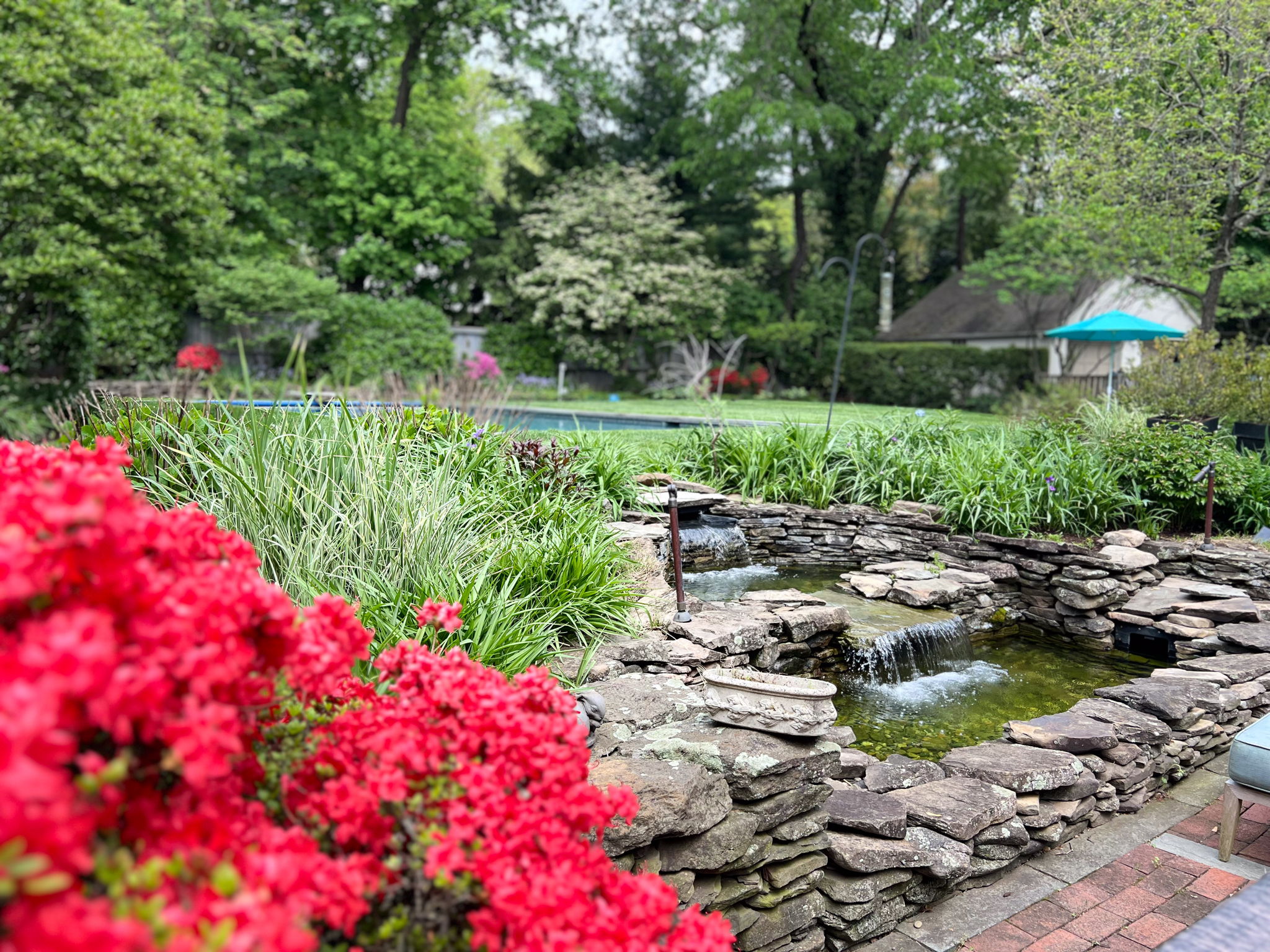 Let the waterfall hush the world. In this private oasis, time slows, peace flows.