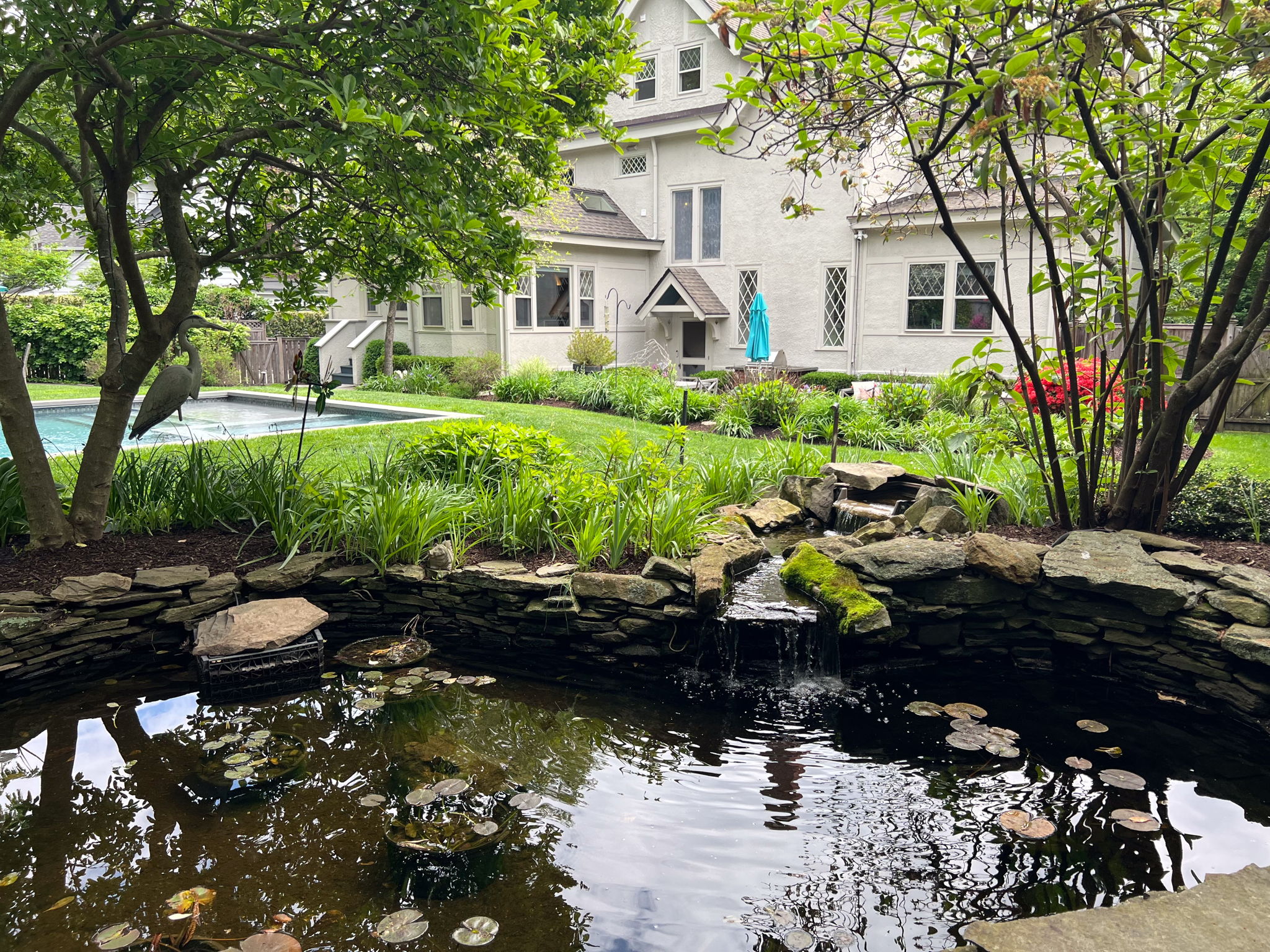 A little world of wonder—watch the fish glide, the water ripple, and your worries float away.