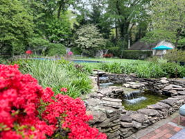 Let the waterfall hush the world. In this private oasis, time slows, peace flows.