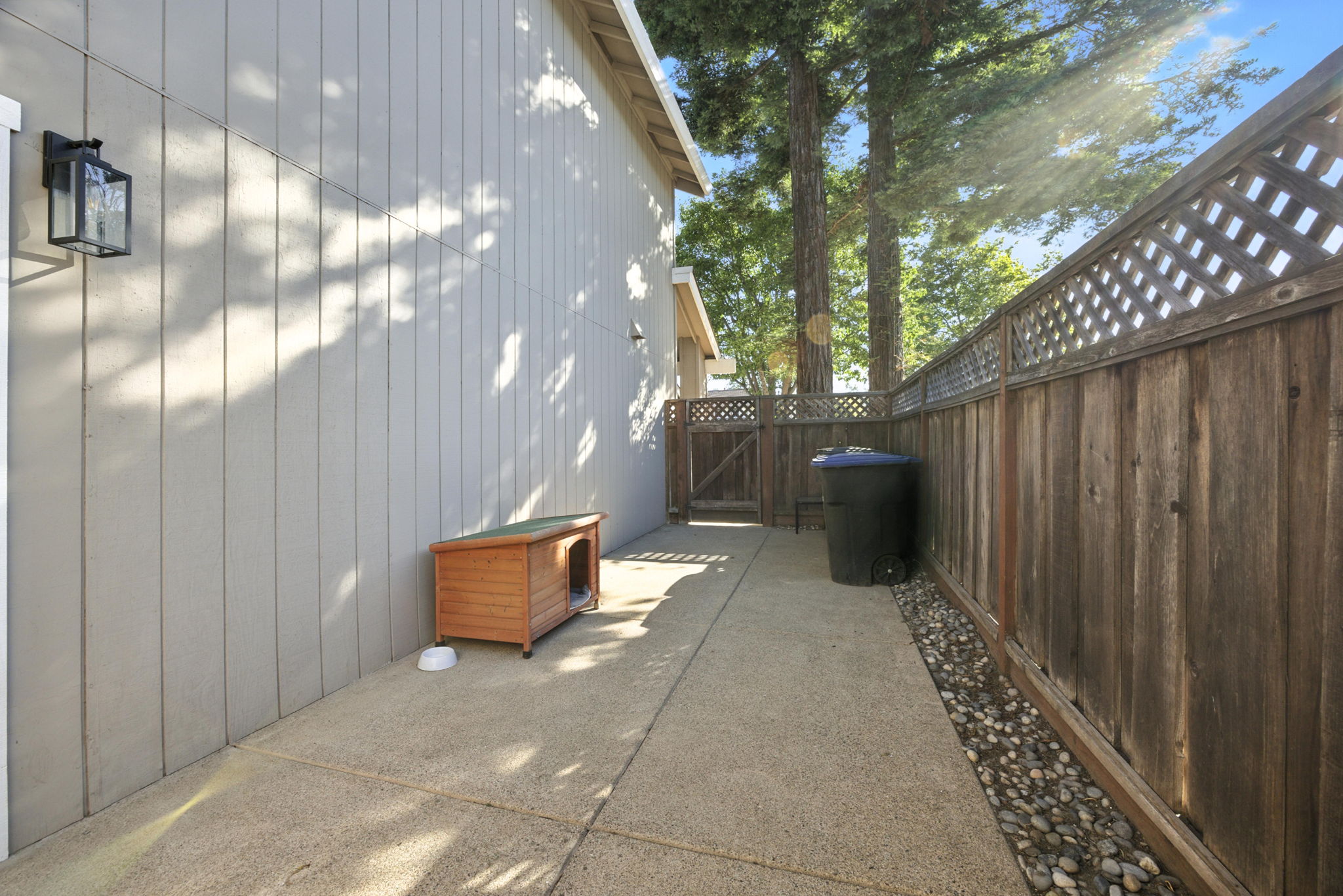  Photo 45