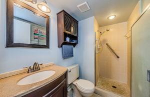 Master Bathroom 1a