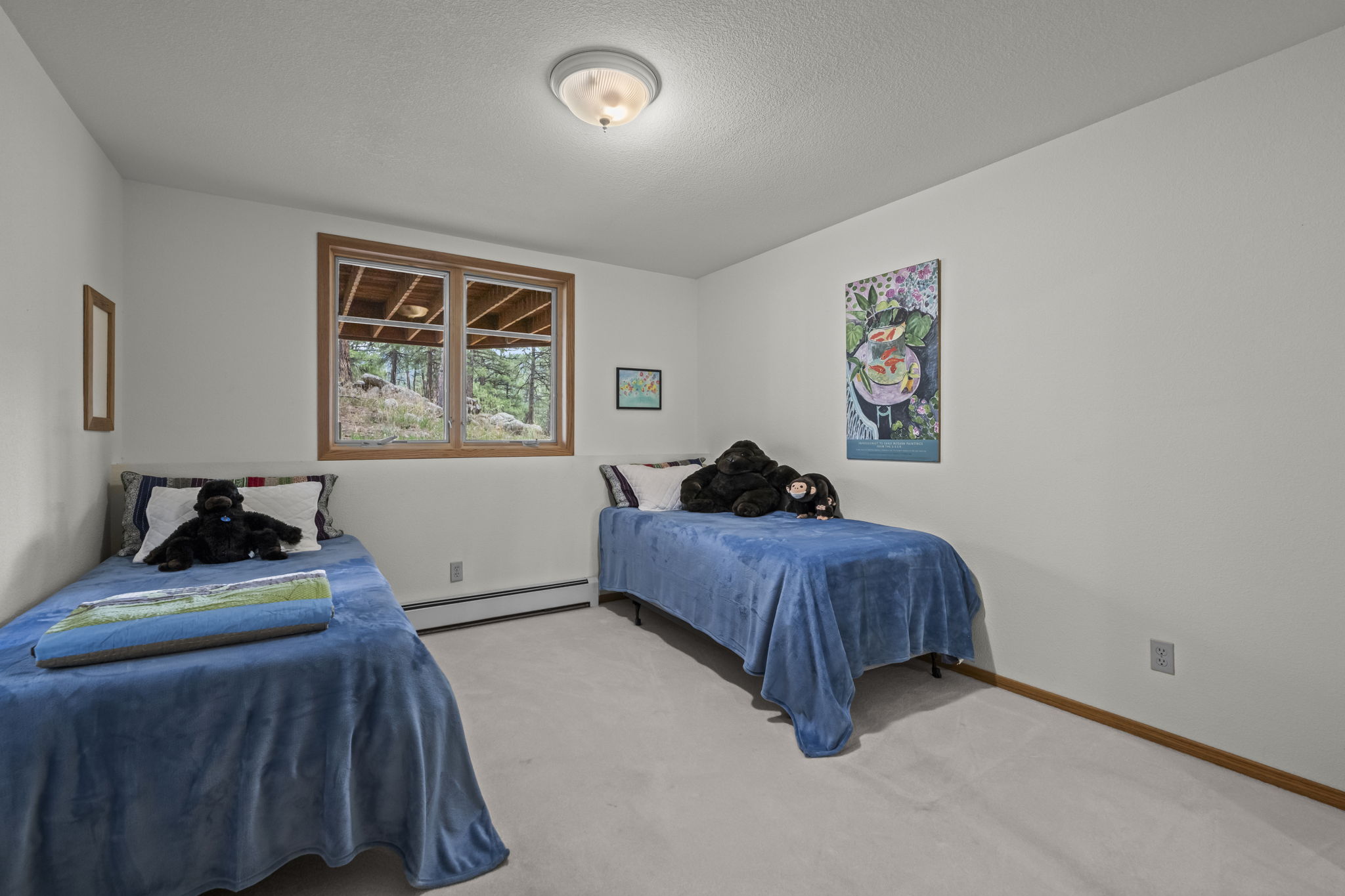  Photo 48