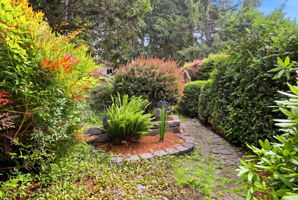  Photo 46
