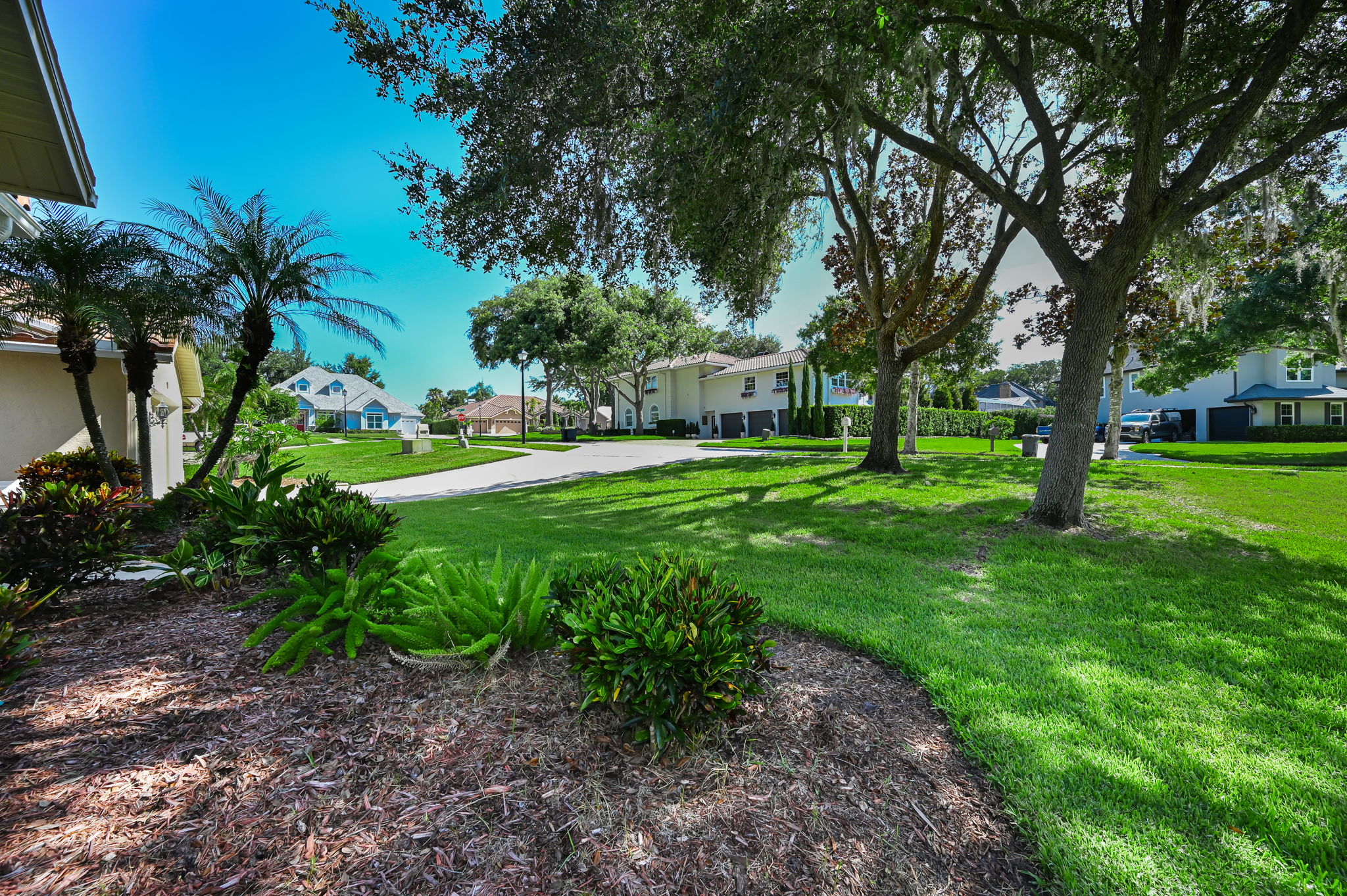 Frontyard