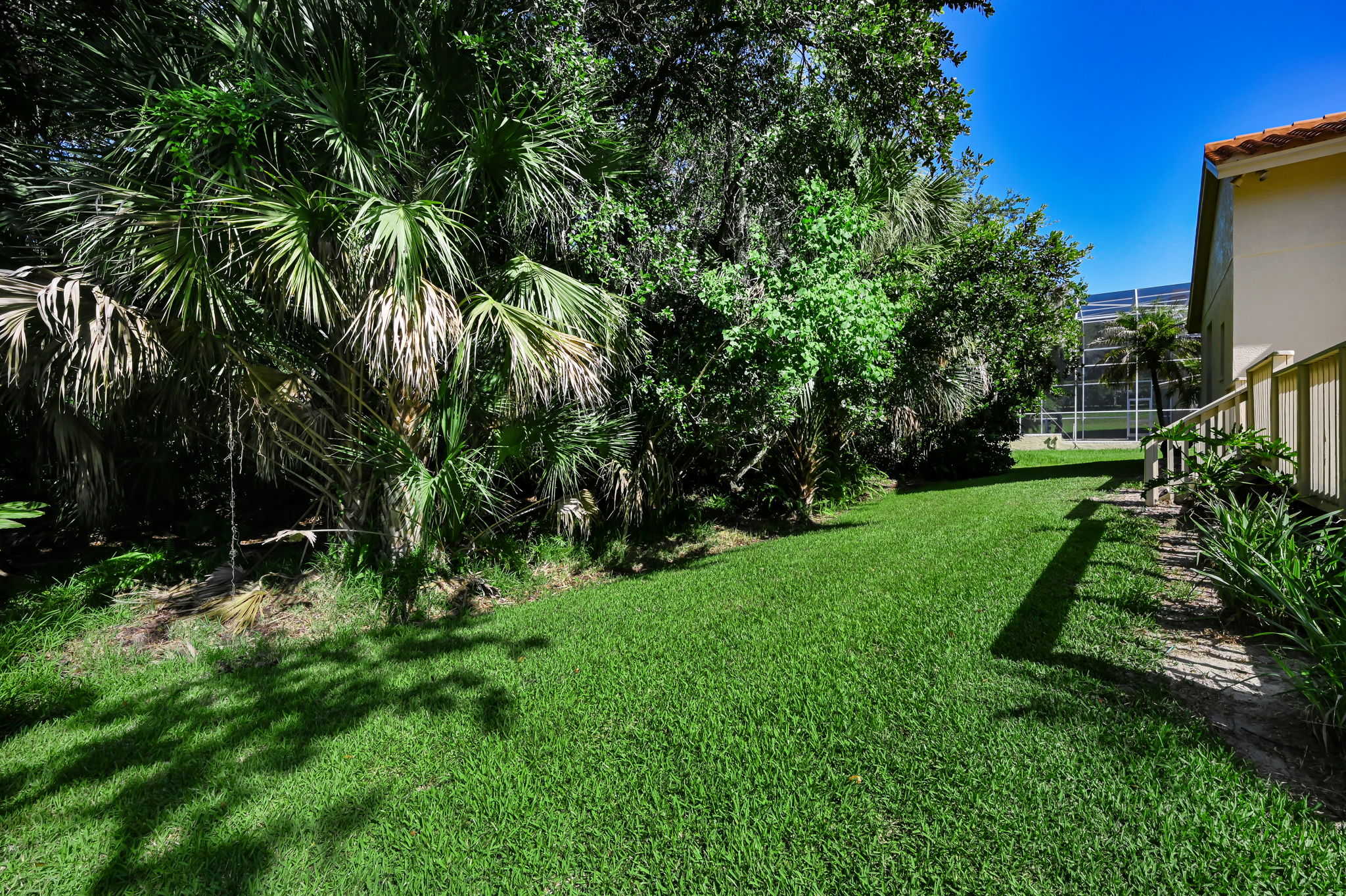 Backyard2