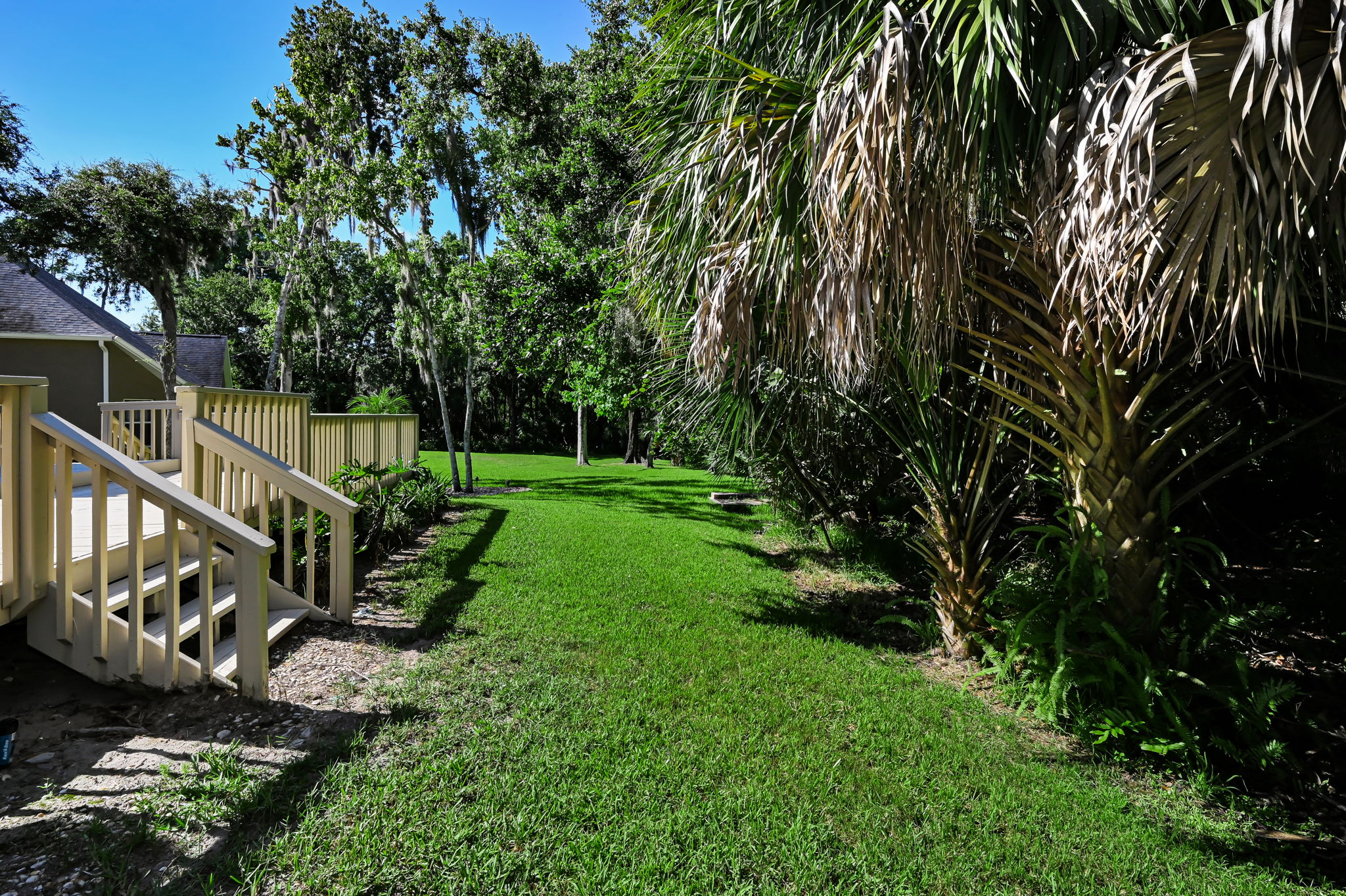 Backyard4