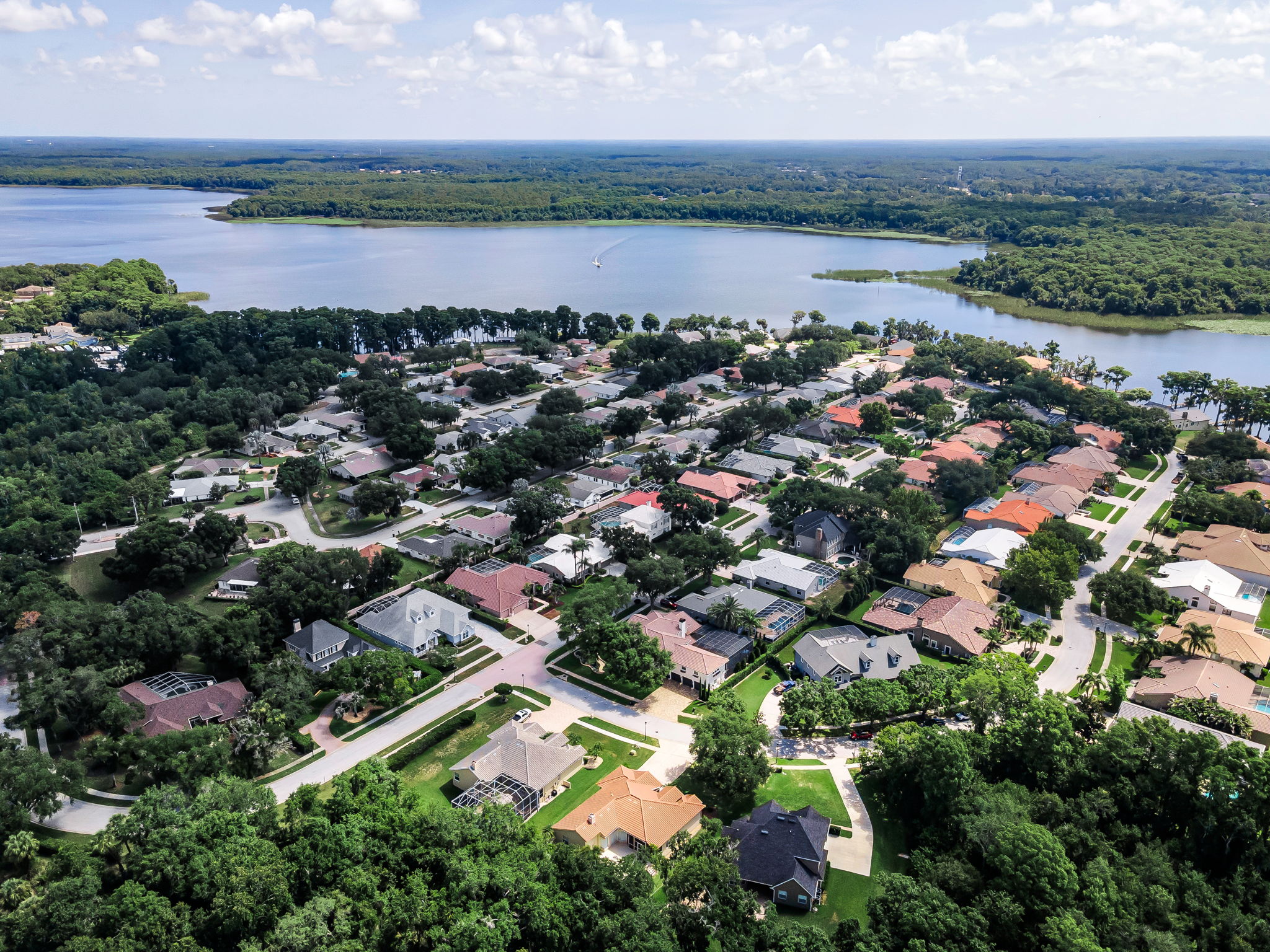 Aerial (16)