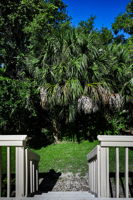 Deck3 View