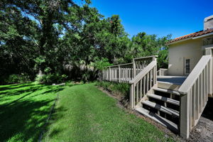Backyard3