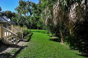 Backyard4