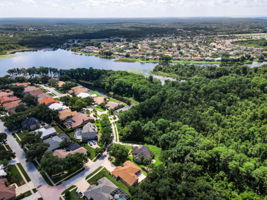 Aerial (14)
