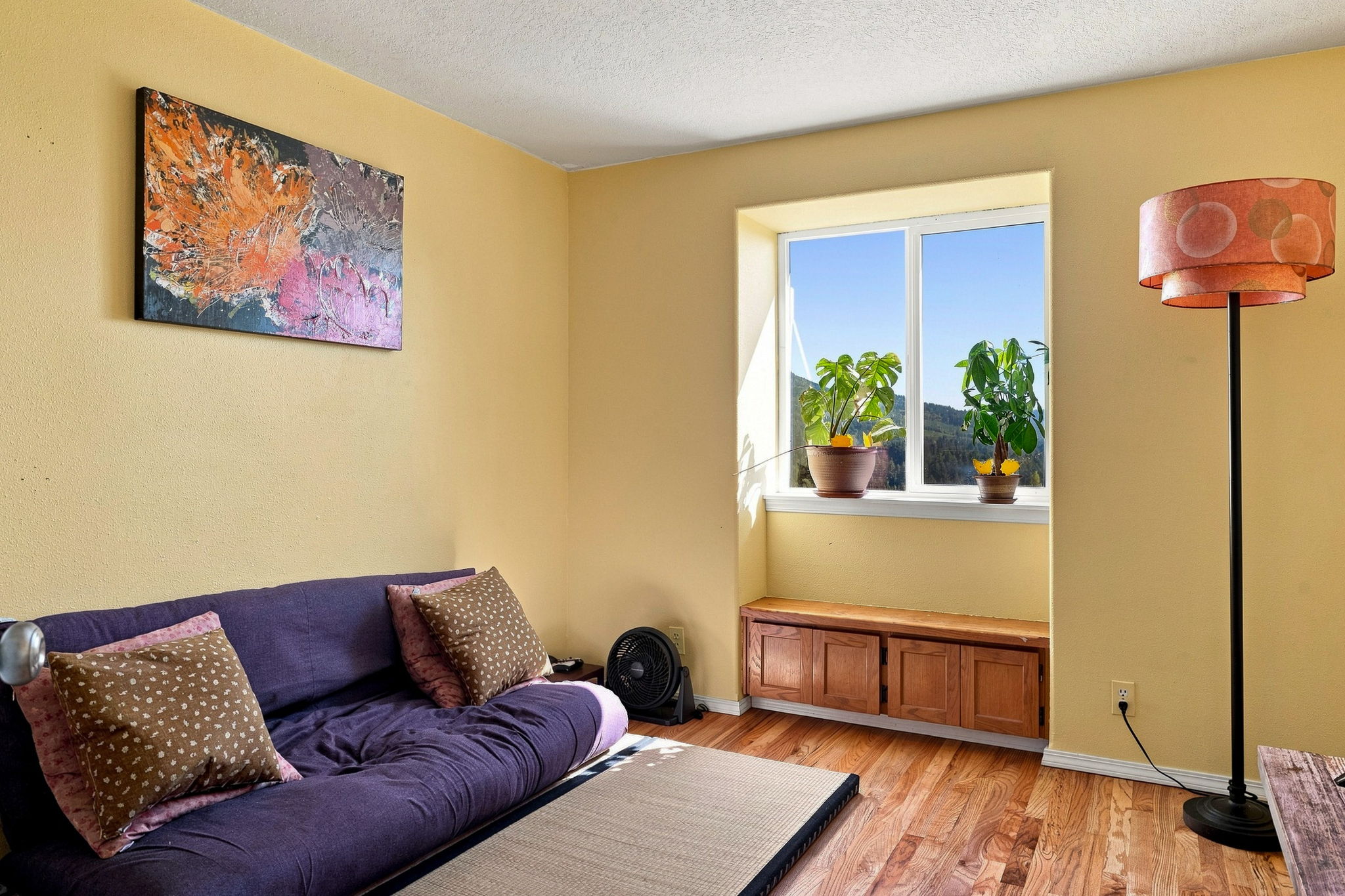  Photo 41