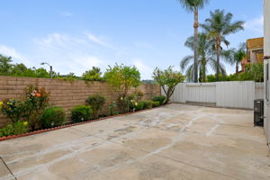 19-Back Yard