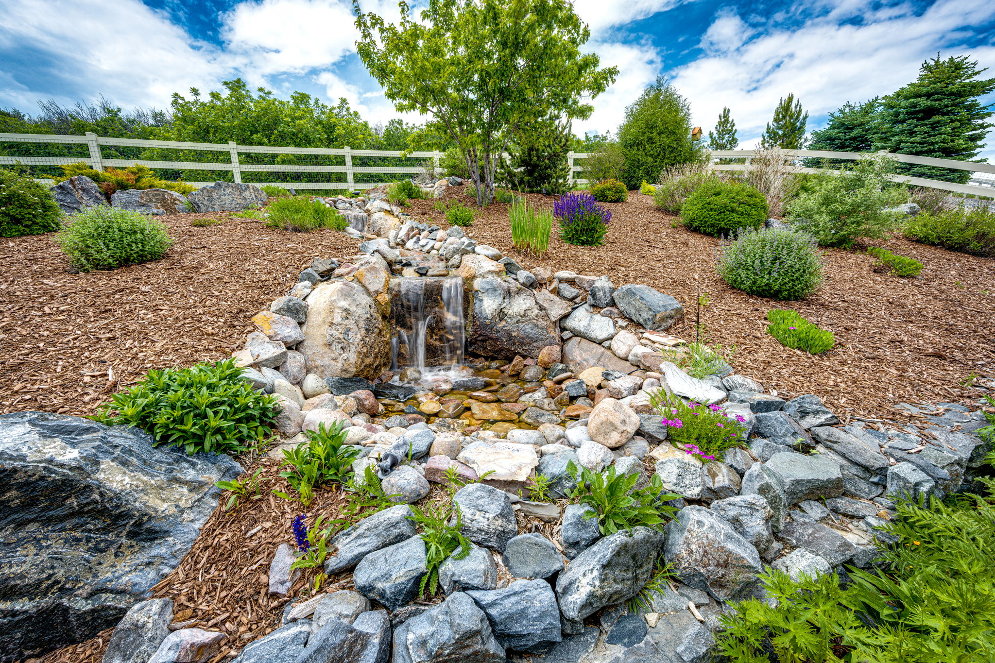 Open Space Backyard w Waterfall Features