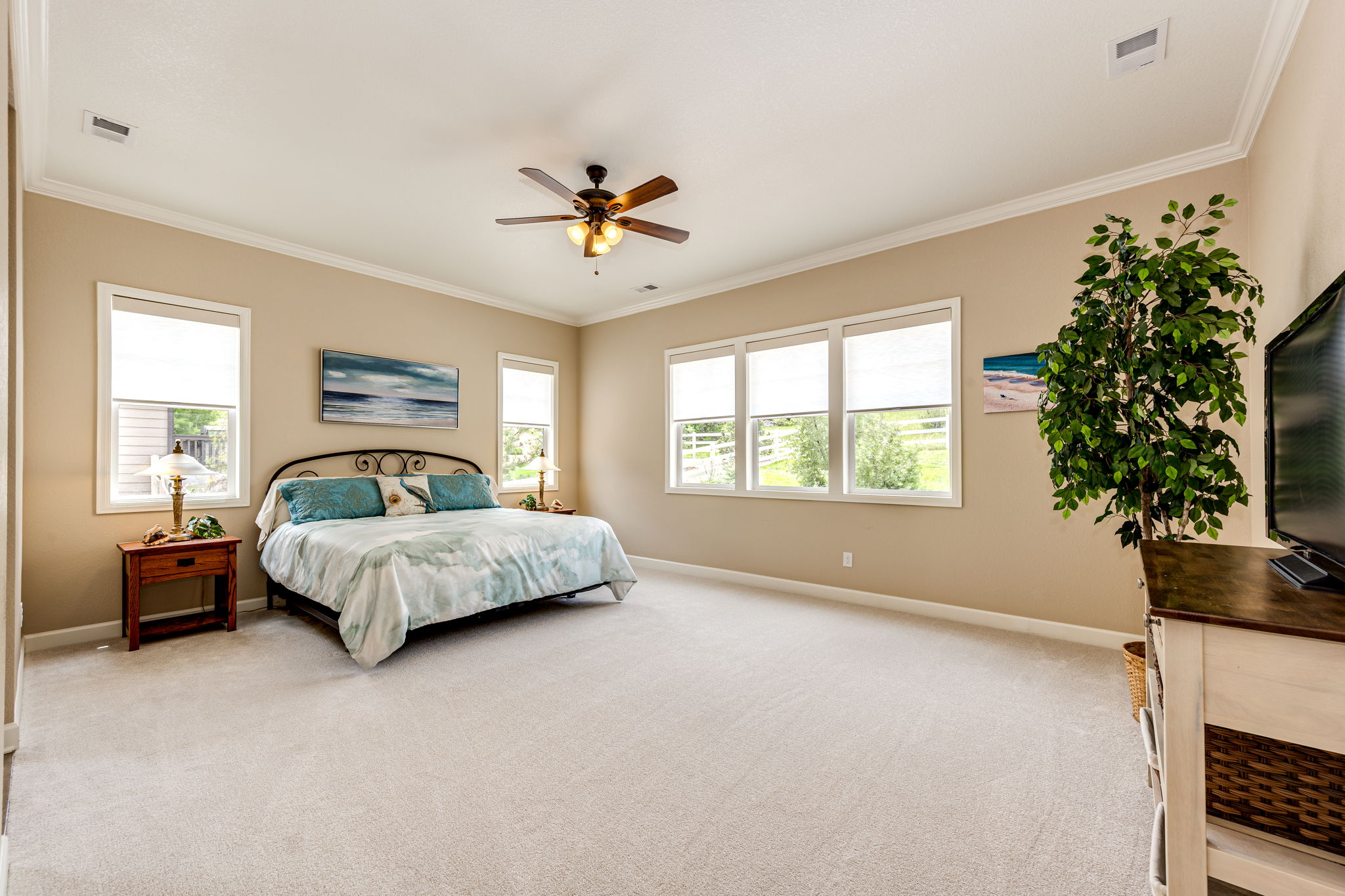 Spacious Primary Bedroom w Open Space Views