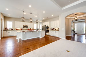 Beautiful Entry to Great Room