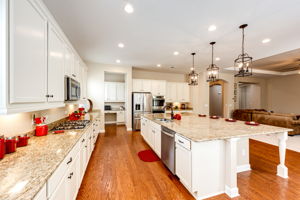 Chef's Dream Kitchen w Stunning Granite