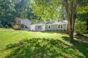 Photo-1