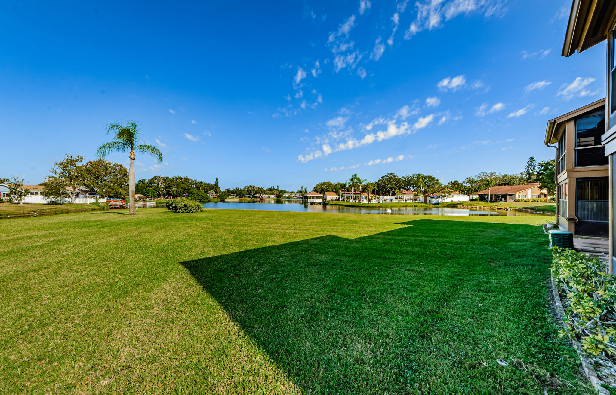 Backyard 1