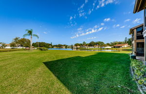 Backyard 1
