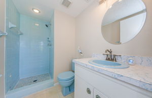 Master Bathroom 1a