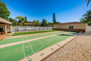 21-Shuffleboard