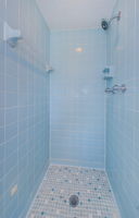 Master Bathroom 1b