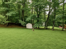  Photo 48