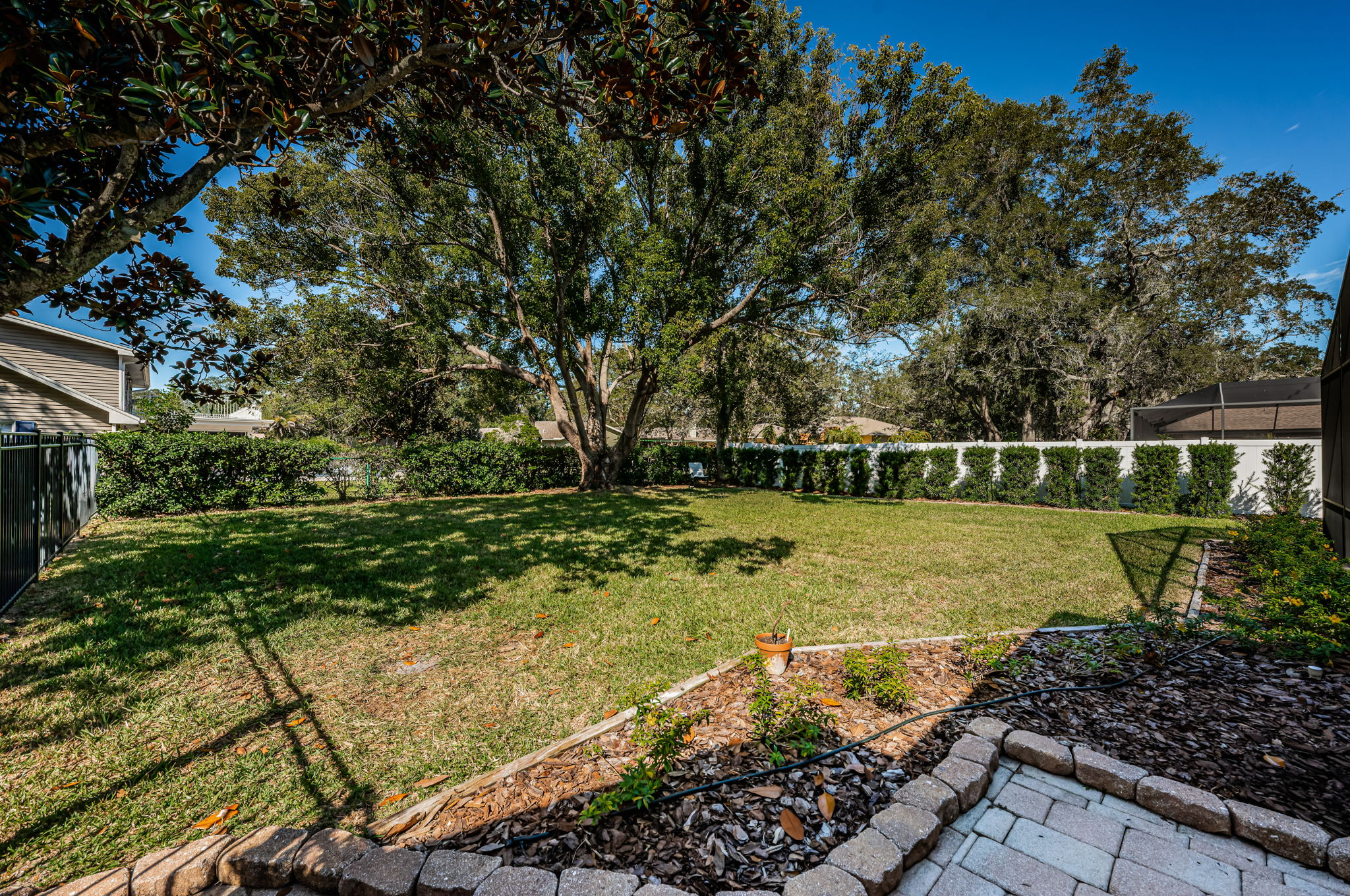 Backyard 1