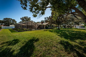Back Exterior 1