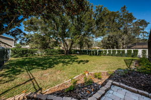 Backyard 1