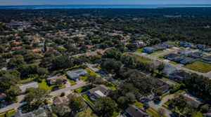 Aerial Still 8