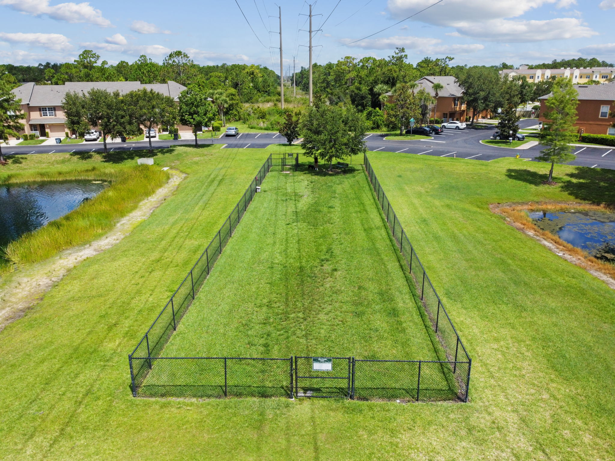 Dog Park