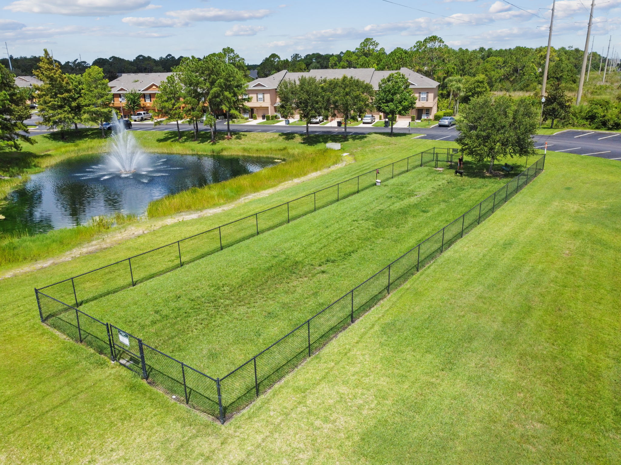 Dog Park