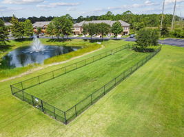 Dog Park