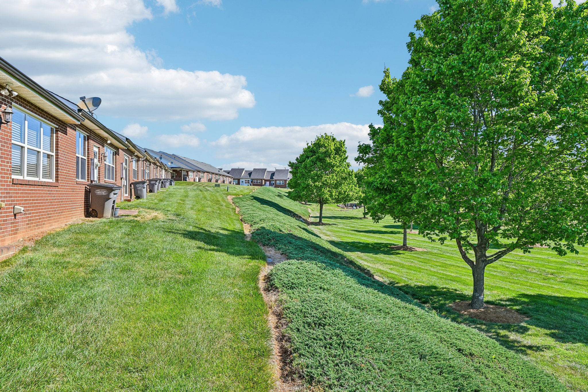 Sage Ct-S2304-048.jpg