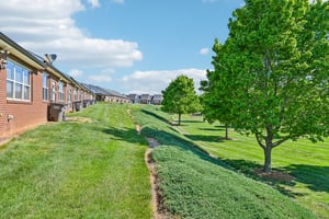 Sage Ct-S2304-048.jpg