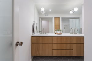 Lower Level - Bathroom