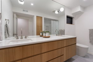 Lower Level - Bathroom