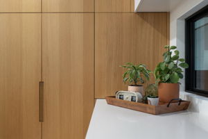 Kitchen cabinet details