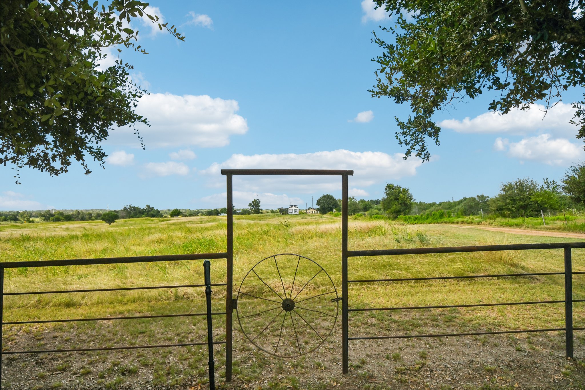 Goertz Dr-S2407-057.jpg
