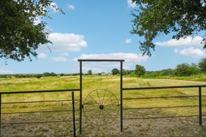 Goertz Dr-S2407-057.jpg
