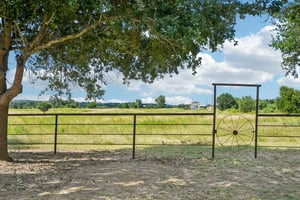 Goertz Dr-S2407-058.jpg