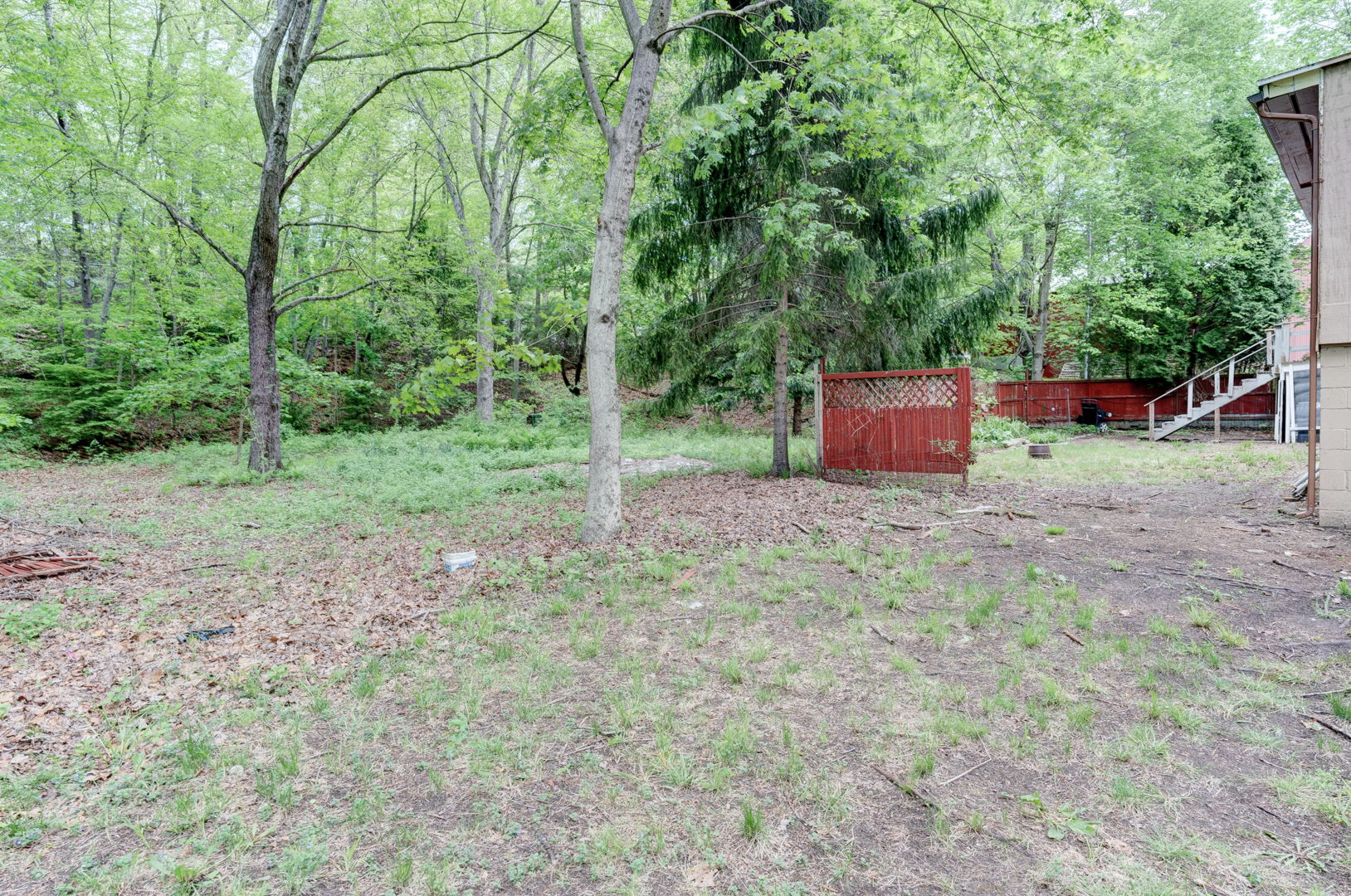  Photo 7
