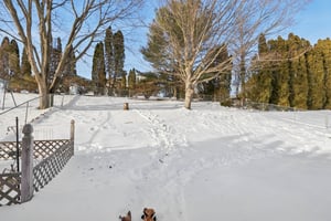 Timothy Ln-S0502-043.jpg