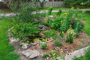  Photo 42