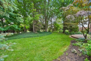 Burkoff Dr-S0707-044.jpg