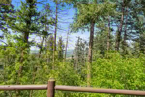 BCM_9683.jpg