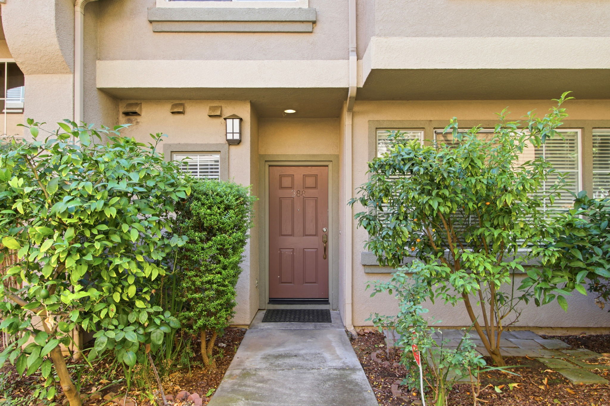 001_F8_388 Ribbonwood Ave