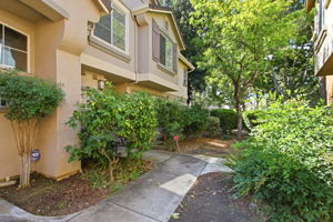 002_F8_388 Ribbonwood Ave
